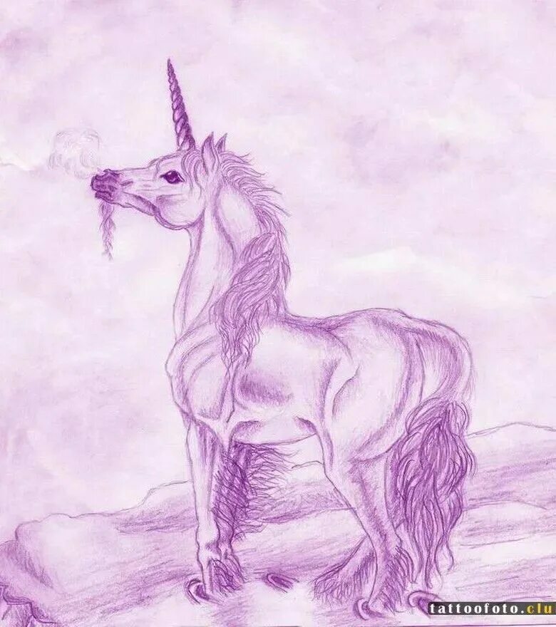 Как нарисовать единорога. Единорог рисунок. Единорог карандашом. Рисунок Единорожки карандашом. Единорог рисунок карандашом.