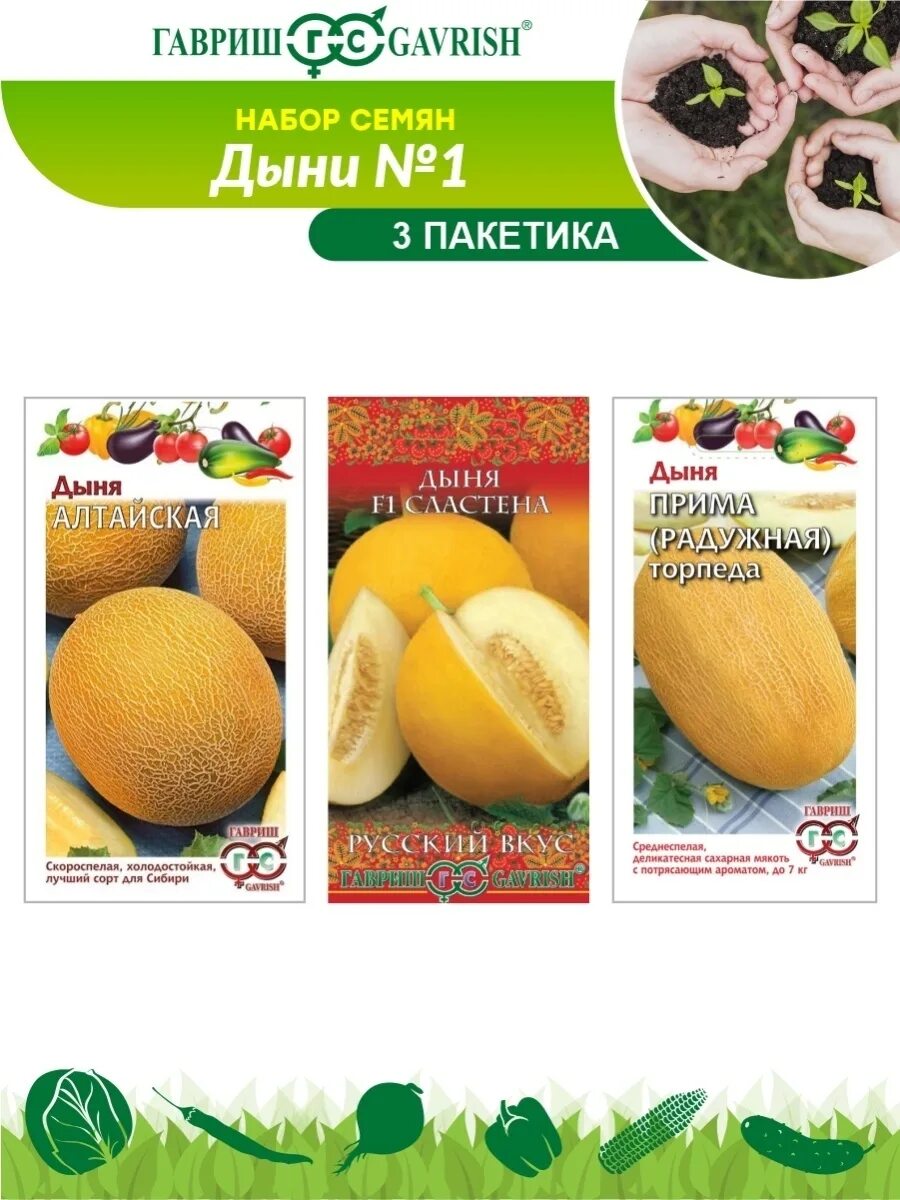 Дыни гавриш. Гавриш дыня-торпеда. дыня гавриш. дыня прима. гавриш дыня алтайская.