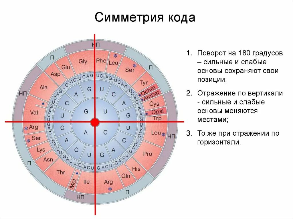 Поворот на 180 градусов. Поворот на 180 градусов это сколько. Вращение на 180 градусов. Градусы 180 градусов.