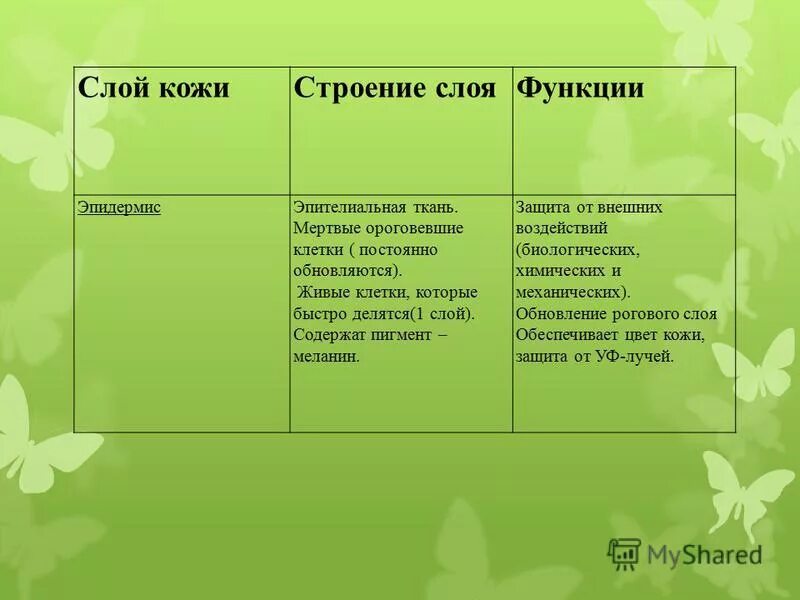 Тест кожа строение и функции 8 класс. Слой кожи строение функции. Функции слоев кожи. Слои кожи таблица. Функции кожи таблица.