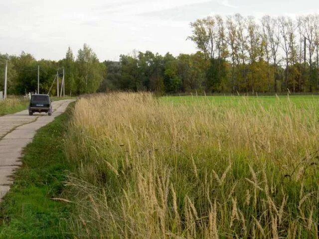 Районе деревни степановское. Московская область раменский район село никитское. село степановское раменский район. ясная поляна степановское раменский район. участок никитское раменский.