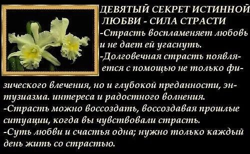 С днем любви цитаты. С днем любви цитаты