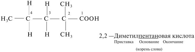 Формула 2 2 диметилпентановая кислота