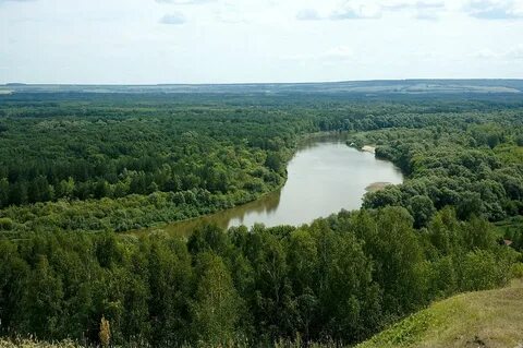 Сура фото