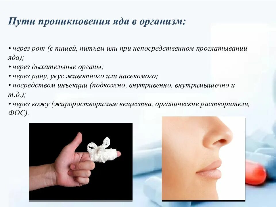 Пути попадания токсических веществ в организм. Пути попадания ядовитых веществ в организм. Пути попадания ядовитых веществ. Способы поступления яда в организм. Пути поступления ядов.