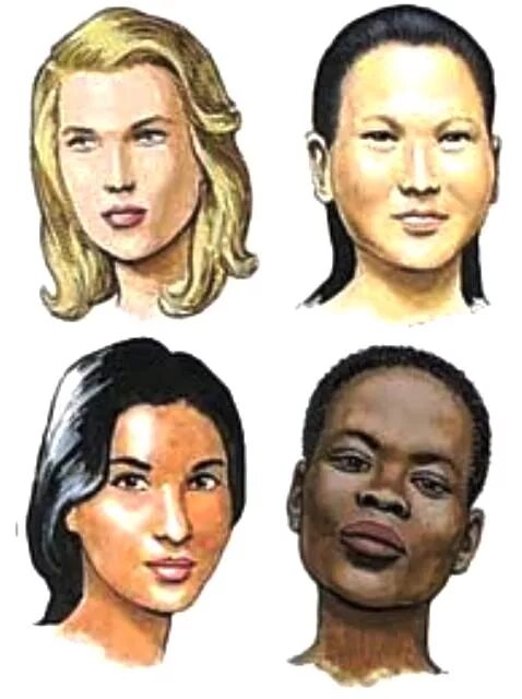 4 Расы на земле. Европеоид и монголоид. 4 Расы людей европеоидная монголоидная негроидная и. Европеоид монголоид негроид. Виды европейцев