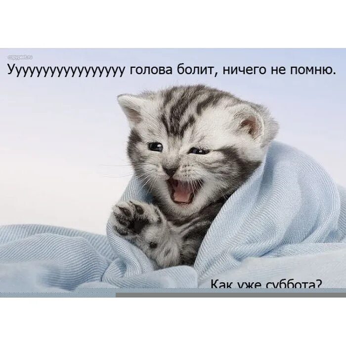 Пусть нечего