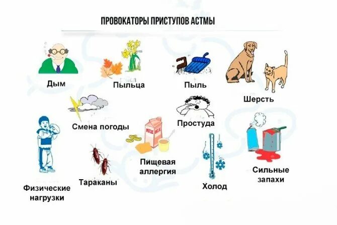 Почему ба. Факторы риска бронхиальной астмы. Аллергены при бронхиальной астме. Факторы развития бронхиальной астмы у детей. Факторы обострения бронхиальной астмы.