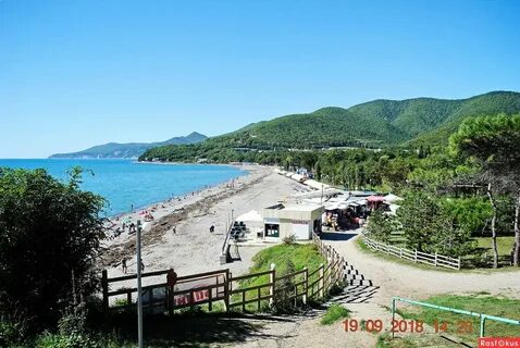 Село криница воронежская область