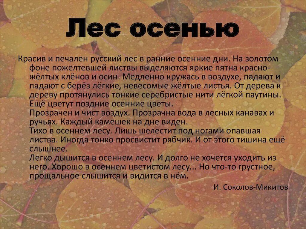 Осенний лес сочинение 2