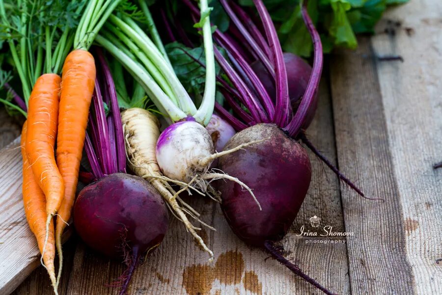 Корневище лука порея. Корнеплодные это. Свекла. Морковь свекла брюква. Корнеплодные овощи.