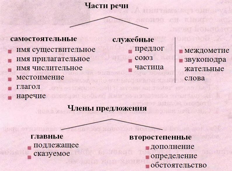 Разница части слова