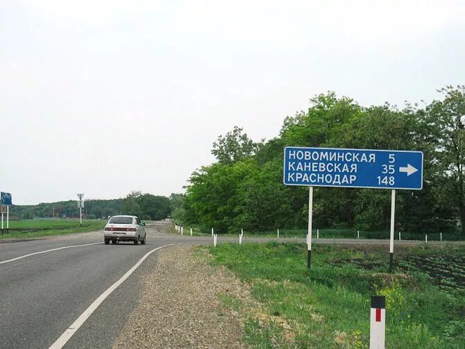 Школа 36 станица новоминская. Мира. Администрация новоминская. Погода новоминская на 10. Новоминская краснодарский край.