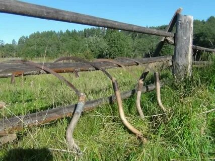 Косой ж