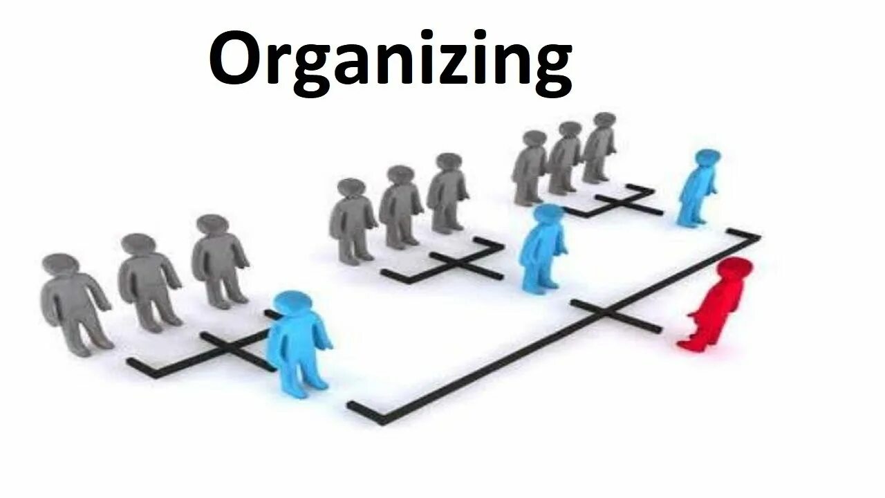 Choose organization. Organizing management. management functions. 4 менеджмента. organization and self organization.