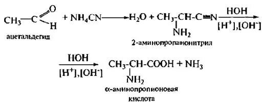 Способы получения оксикислот реакции. Присоединение nh3 к непредельным кислотам. Аминопропионовая кислота. Аминопропионовая кислота с серной кислотой. Формула аминопропионовой кислоты