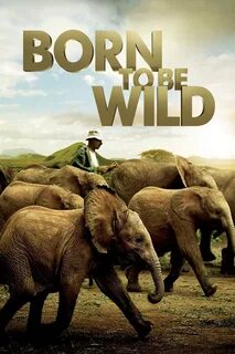 Wildlife documentary