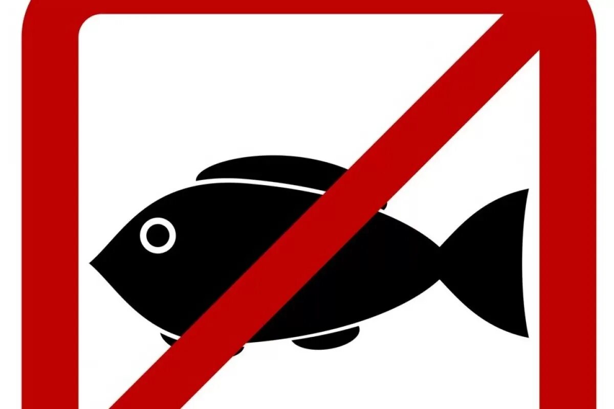 Рыба запрещена. Рыбалка запрещена. Перечеркнутая рыба. Лов рыбы запрещен табличка. Когда запрещено ловить рыбу