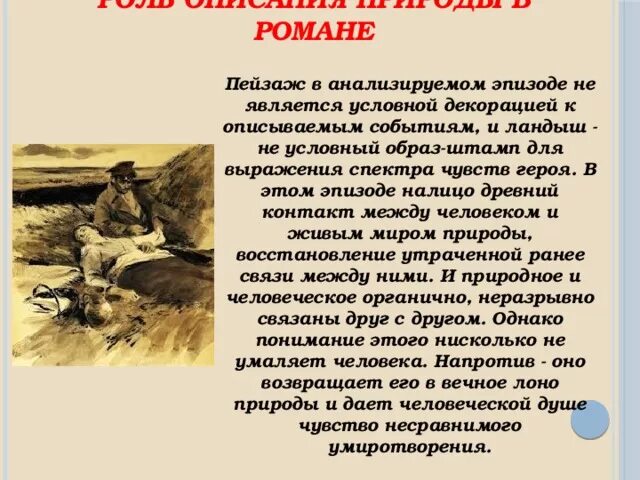Роман тихий дон шолохов. Тихий дон магазин. Женский образы в романе н. Труд и развлечения тихий дон. Ильинична тихий дон характеристика.
