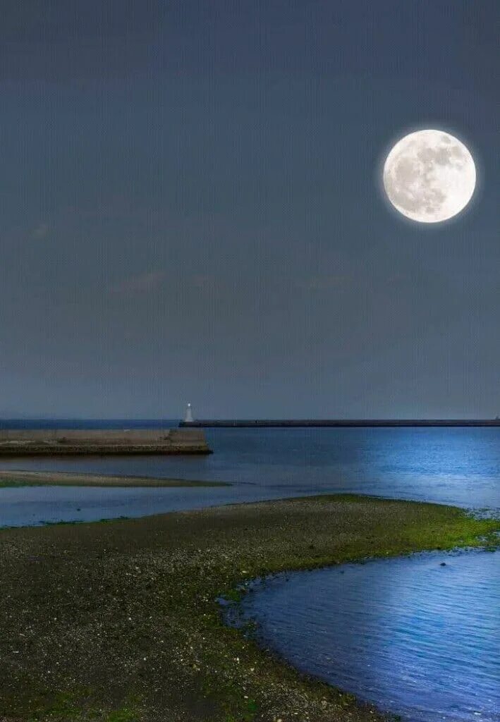 Moon place nft