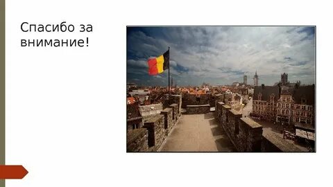 Деятельность бельгии