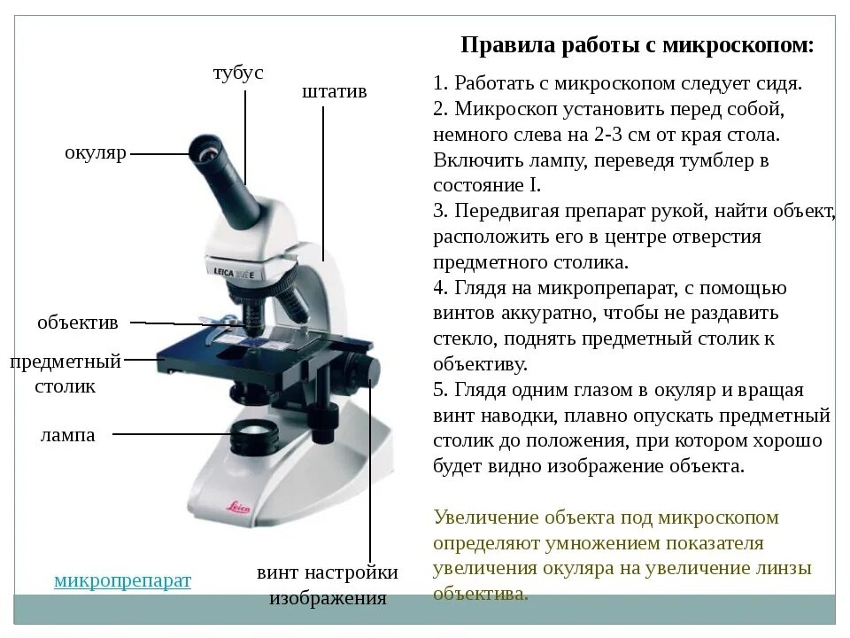 Строение микроскопа макровинт. Строение микроскопа микроскоп световой микроскопа. Строение обычного микроскопа. Световой микроскоп строение конденсор.