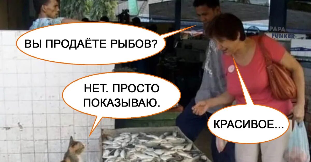 Коты и рыба Мем. Коты мемы про рыбу. Мем с котами и рыбой. Рыба продаете красивое Мем.