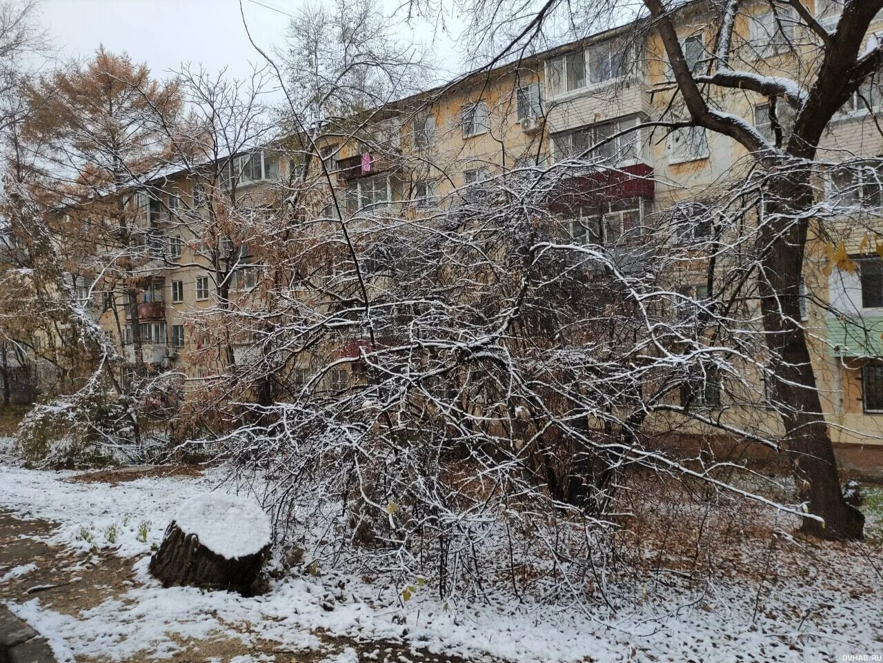 Хабаровске выпал снег. Ноябрь пришел. Снегопад Хабаровск 2014. С 1 снегом. Фотографии 1 снег.