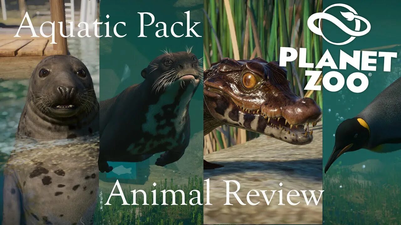 Planet Zoo: Aquatic Pack. Planet Zoo зоопедия. Planet Zoo Otter. Planet Zoo Wetlands. Animals review