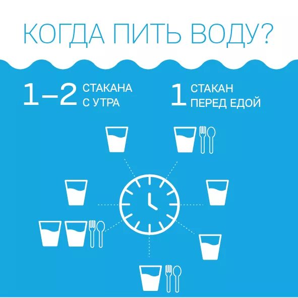 Что нужно пить утром. Пить воду по часам. Правильное питье воды. Как правельнотпить воду. Когда лучше пить воду.