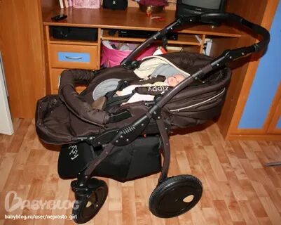Со скольки месяцев прогулочная