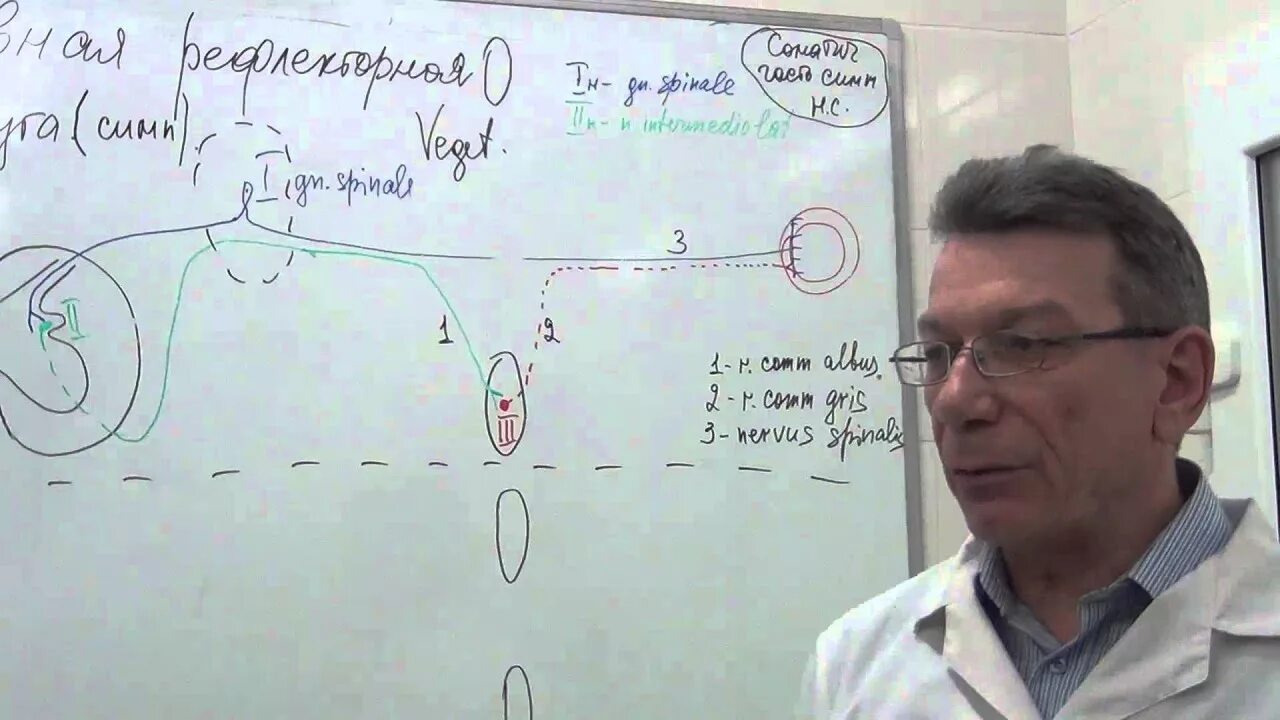 Профессор изранов. Профессор изранов. Изранов анатомия лекции. Профессор изранов. Изранов анатомия.
