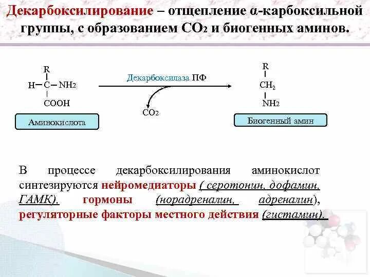 Декарбоксилирование биогенных Аминов. Декарбоксилирование аминокислот общая реакция. Декарбоксилирование аминокислот биохимия схема. Декарбоксилирование аминокислот с 2 карбоксильными группами. Реакции по карбоксильной группе