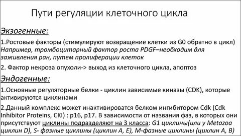 Регуляция пролиферации клеток