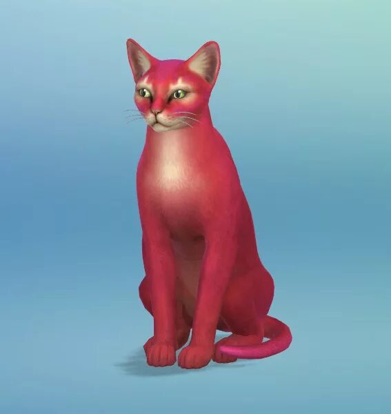 Симс 4 кошка. Sims 4 cats. Котята в симс 4. The sims 4 питомцы. 4 кошки.