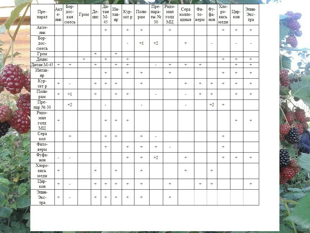 Список инсектицидов для сада. Таблица совместимости баковых смесей для сада. Таблица совместимости препаратов Эпин циркон. Таблица совместимости фунгицидов и инсектицидов. Таблица смешивания фунгицидов с инсектицидами.