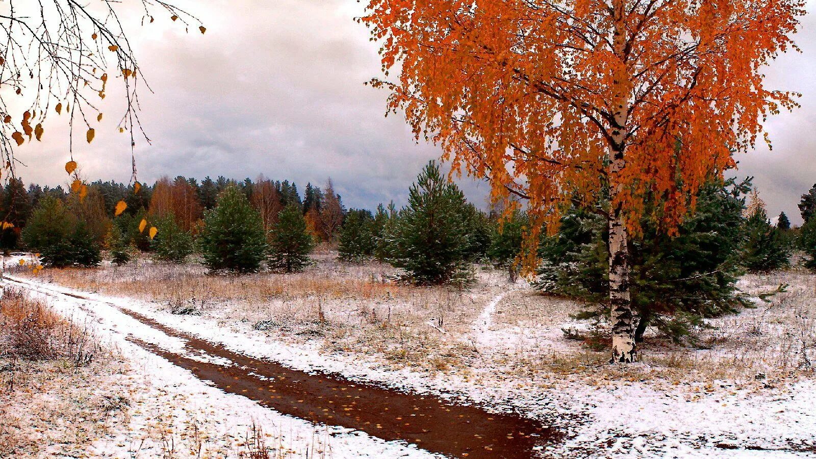 Март это осень. Ранняя Золотая поздняя осень. Снежная осень. Первый снег осенью. Ранняя зима.