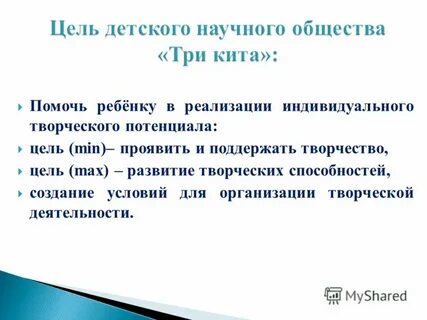 Потенциальная цель