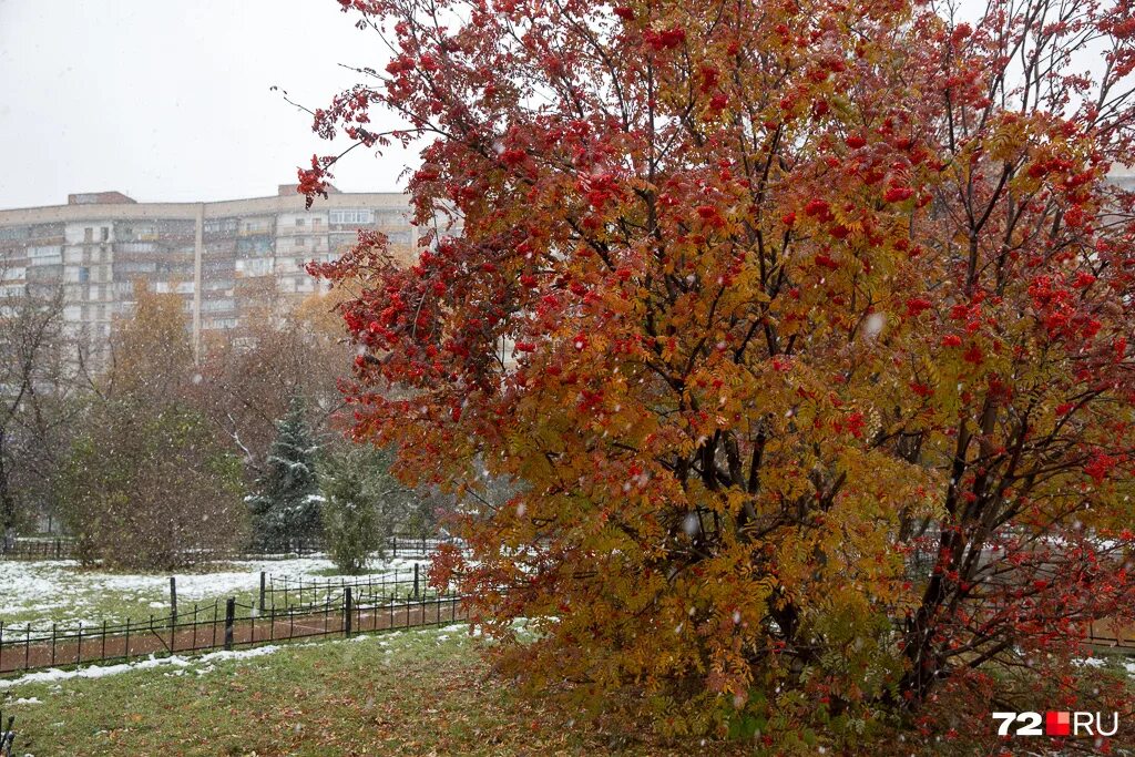дождливая осень в городе. осенний дождь. осень в городе. погода в городе октябрь. дождливый глазов.