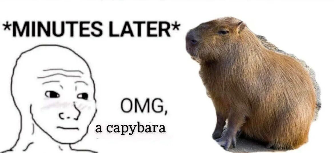 Tps t me capybara playbot start url66