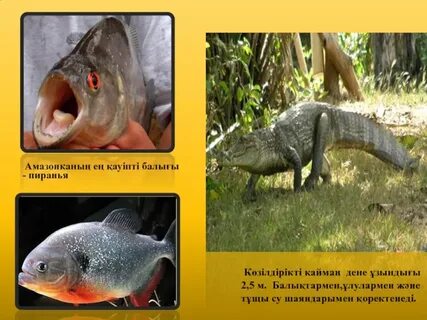 Сұлулық қол бұлғап тұр