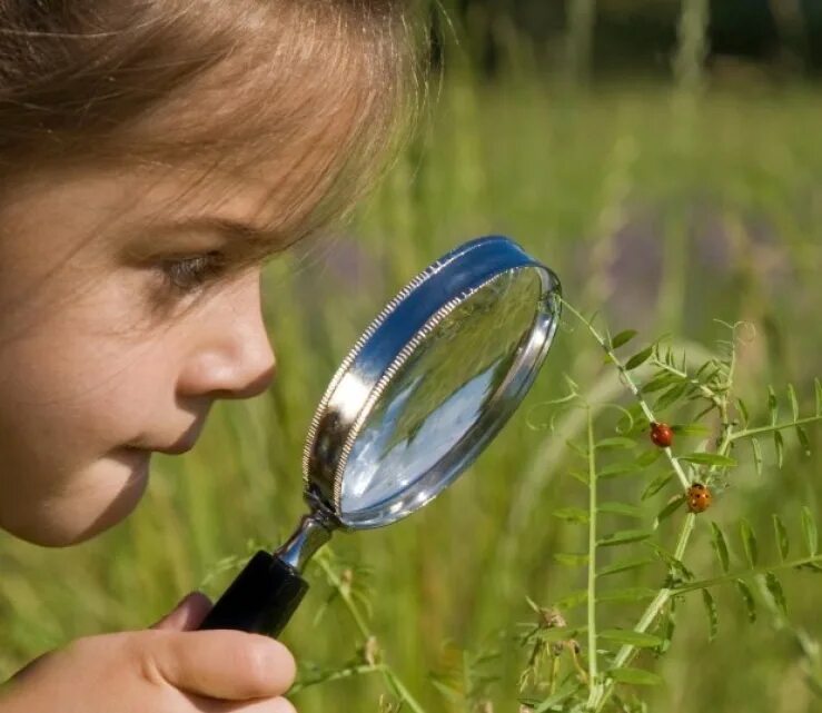 наблюдательность 13. наблюдение и наблюдательность в психологии. 3. 3. 3.