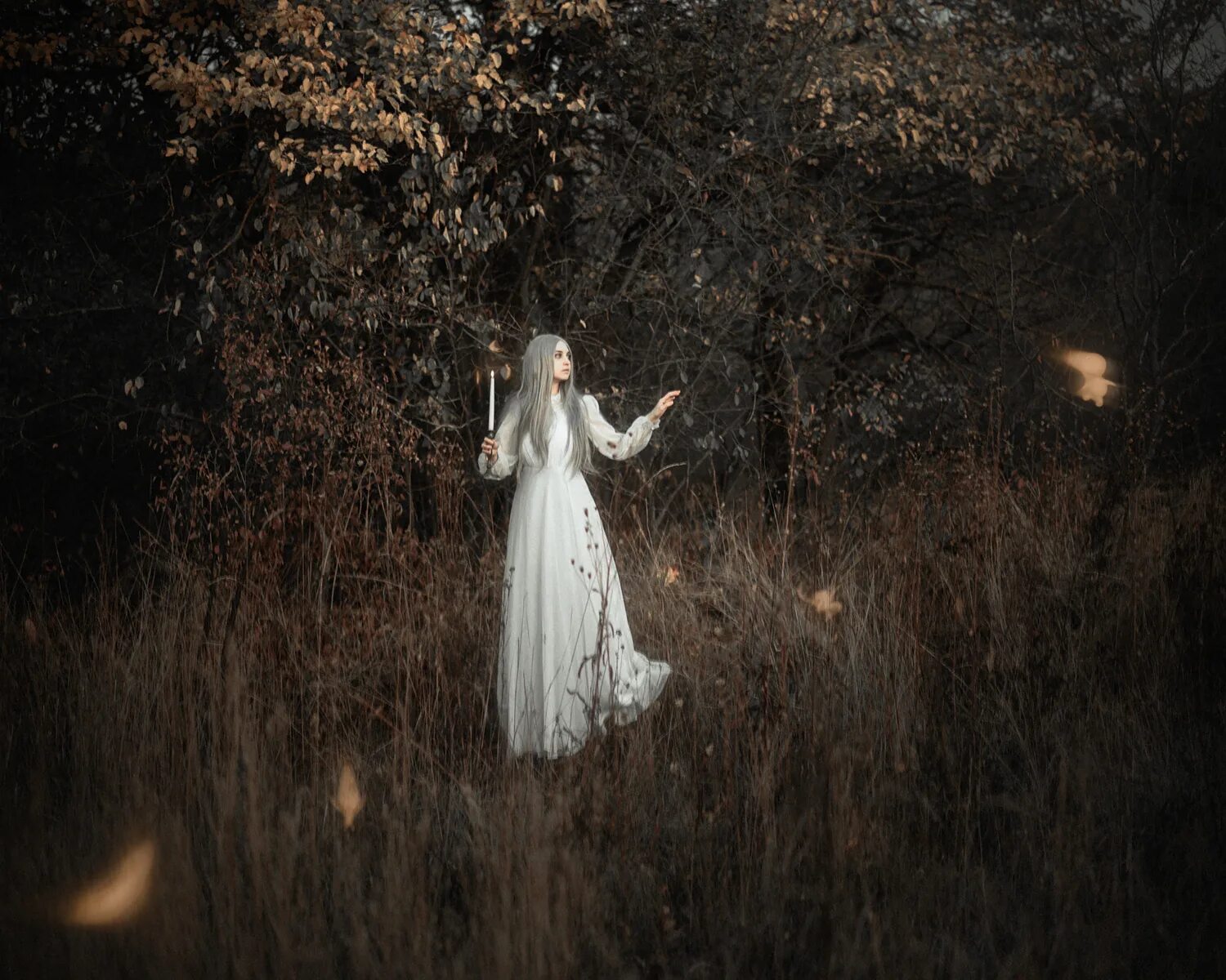 Мой блуждающий огонь. Панченко блуждающие огни. Группа блуждающие огни фото. Панченко блуждающие огни. Наира плинер мой блуждающий огонь.