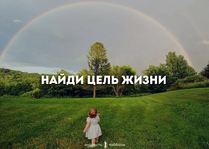 цельжизни org