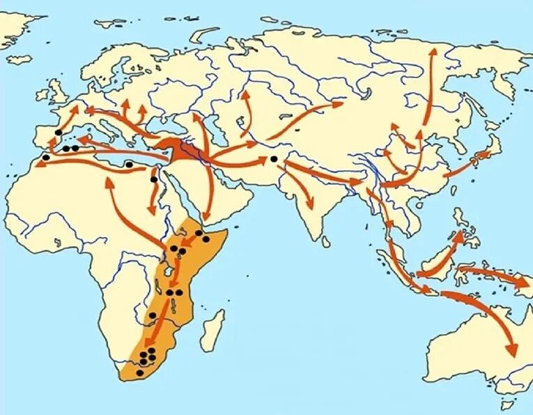 Расселение древних людей из Африки. Карта расселения древнейших людей. Расселение кроманьонцев из Африки. Предполагаемые пути расселения первобытных людей.