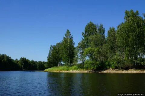 Лесной берег железногорск