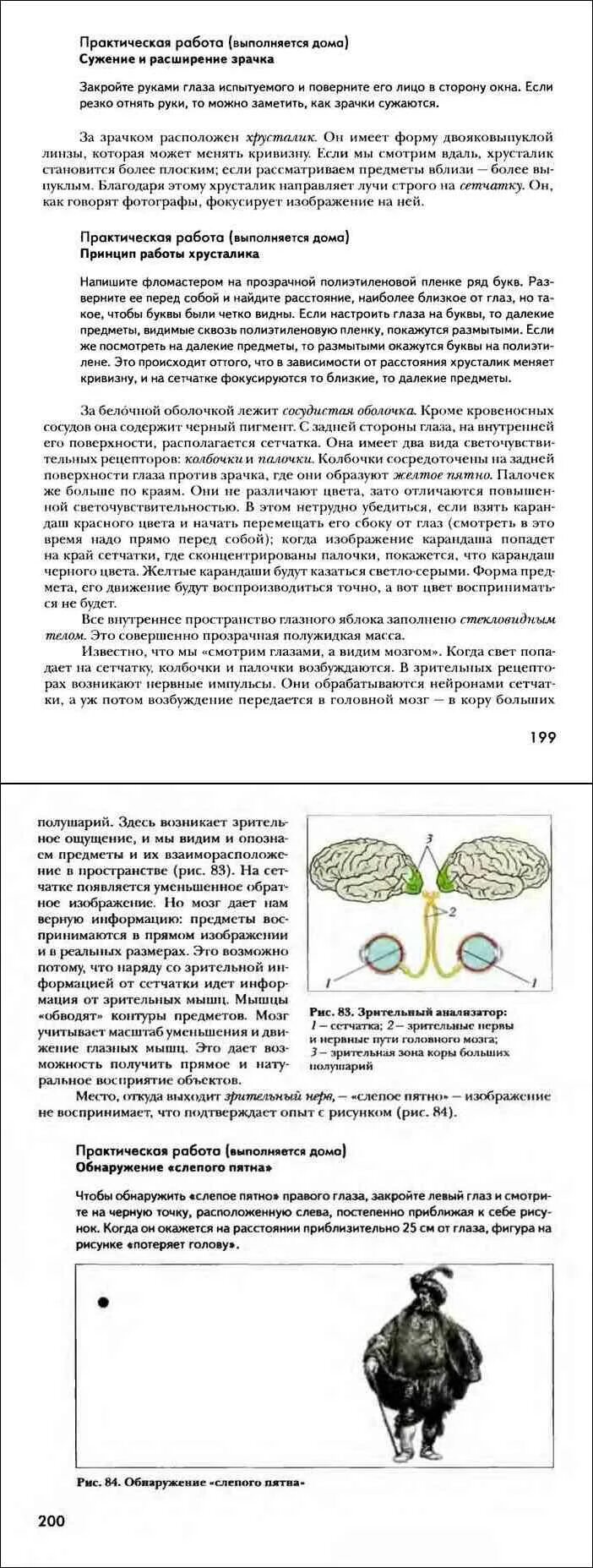 Лабораторная работа обнаружение слепого пятна. Практическая работа обнаружение слепого пятна. обнаружение слепого пятна практическая работа 8 класс по биологии. обнаружение слепого пятна практическая работа 8 класс. практическая работа по биологии 8 обнаружение слепого пятна.