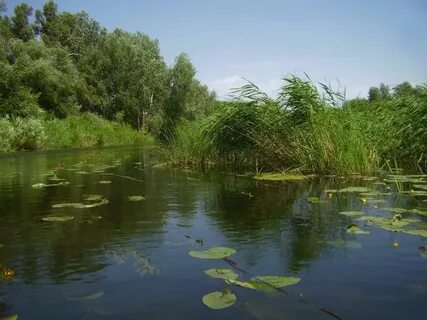 Река орь оренбургская область