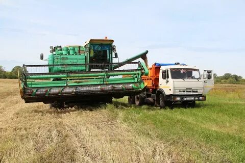 Рп5 зерновой саратовская область