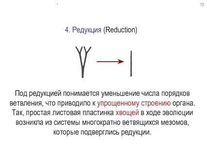 Редукция что это